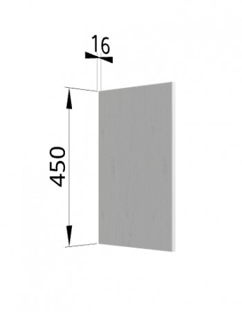Панель торцевая (для шкафа горизонтального высокого) ВПГ Ройс (Графит софт) в Кочках - kochki.mebel54.com | фото